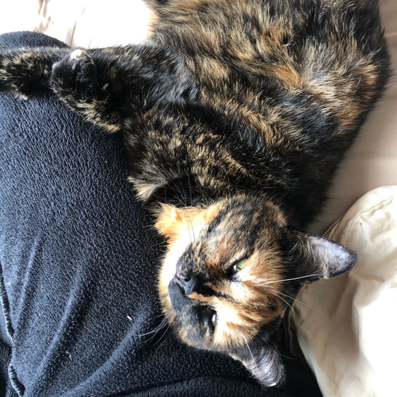 Meet your Posher, Heather - Picture 6 of 8